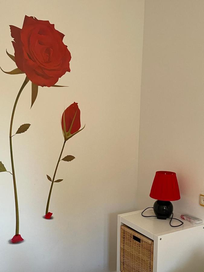 Apartamento Beatriz Cuenca  Extérieur photo